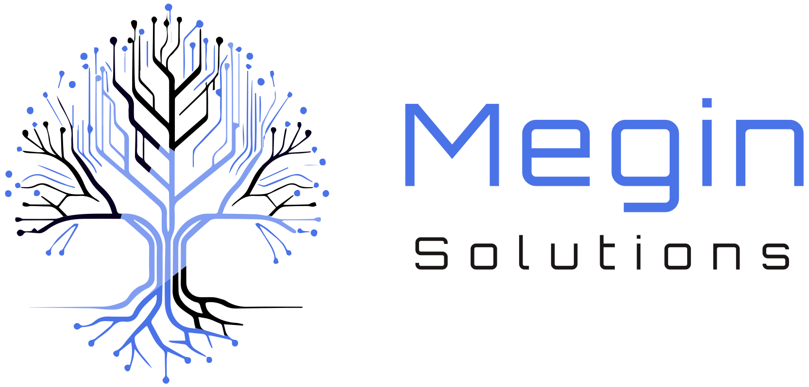 Megin Solutions